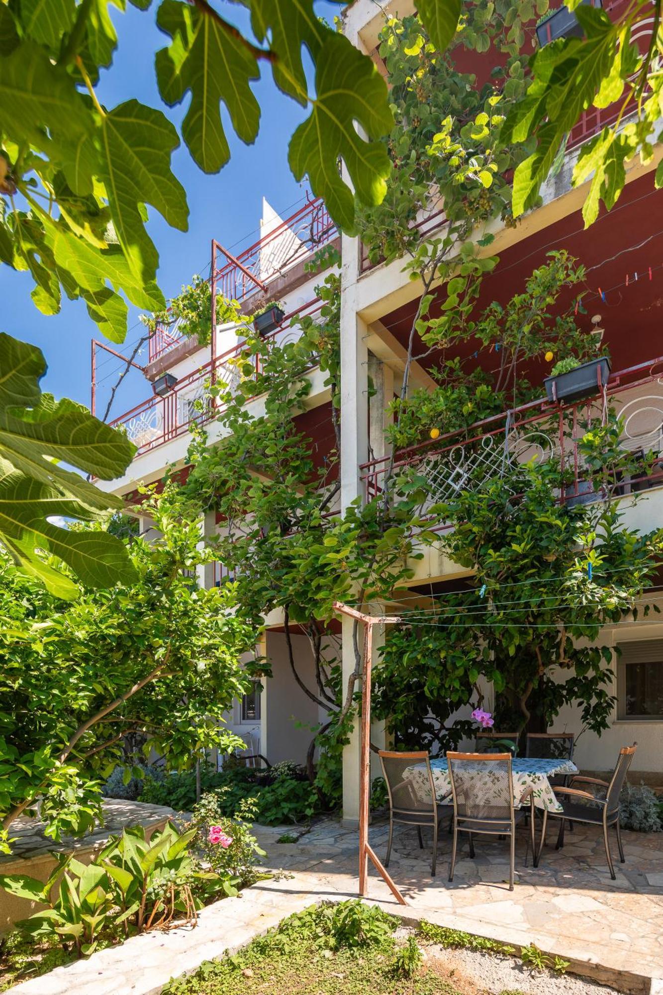 Apartments Roza Omiš Dış mekan fotoğraf